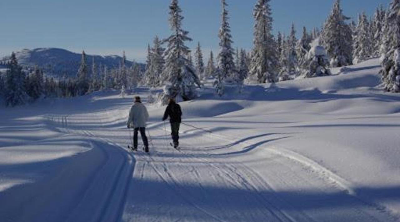 Hytte Naer Vannet, Jacuzzi Og Sauna Vradal Buitenkant foto