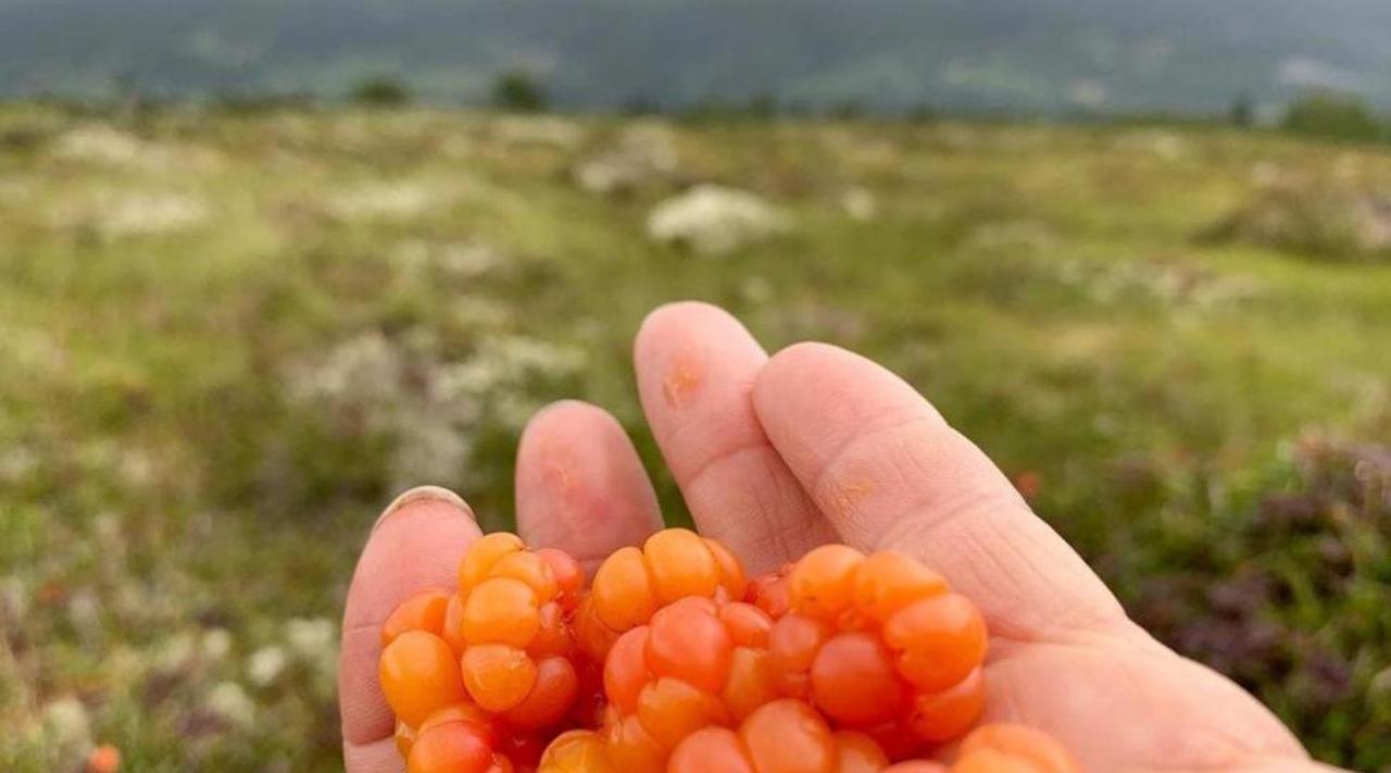 Hytte Naer Vannet, Jacuzzi Og Sauna Vradal Buitenkant foto