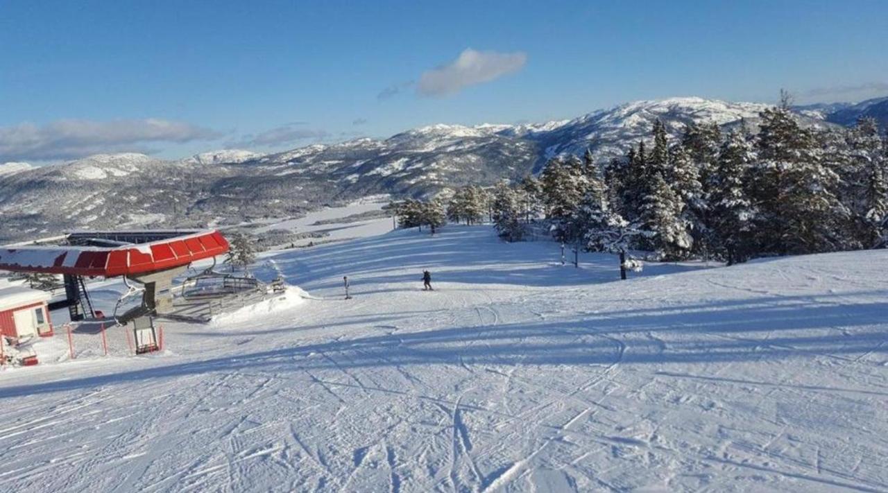 Hytte Naer Vannet, Jacuzzi Og Sauna Vradal Buitenkant foto